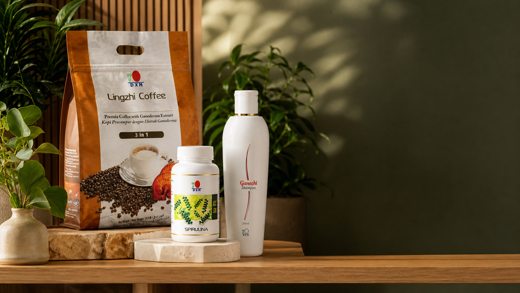 Comprar productos DXN online de forma fácil